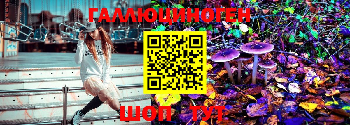 Псилоцибиновые грибы Psilocybe Усинск