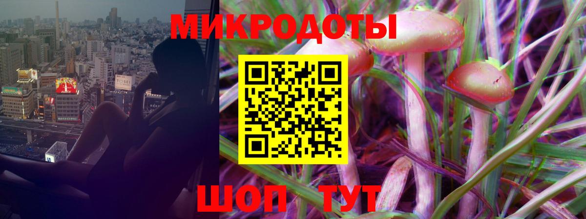 Галлюциногенные грибы Psilocybine cubensis Усинск